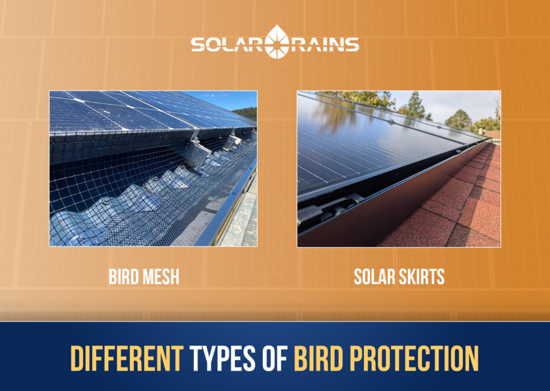 different between bird mesh and solar skirts solar pannel by Solar Rains