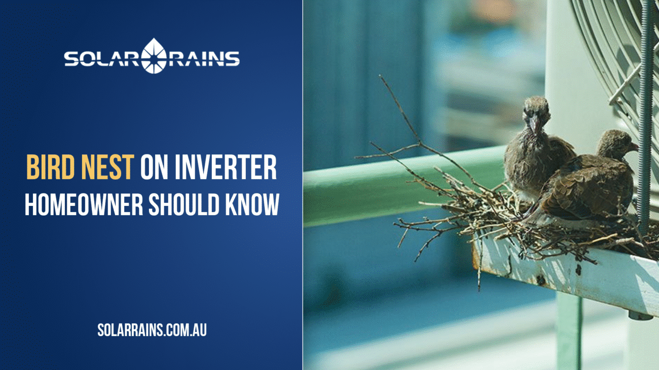 Has Your Solar Inverter Turned Into a Bird Nest - What Every Homeowner Should Know