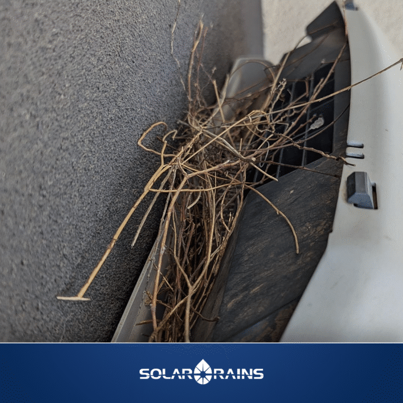 bird nest on solar inverter